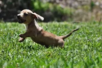 processed/01f32c50-dcad-4864-af48-bf0cf7fcdfe4/facility/12022fb4-758a-4fde-a77a-c6f2ee6f3434