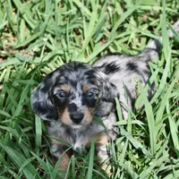 processed/01f32c50-dcad-4864-af48-bf0cf7fcdfe4/facility/20460ae0-2dd3-4865-96ed-31d9f912b024