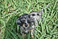 processed/01f32c50-dcad-4864-af48-bf0cf7fcdfe4/facility/20460ae0-2dd3-4865-96ed-31d9f912b024