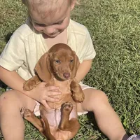 processed/01f32c50-dcad-4864-af48-bf0cf7fcdfe4/facility/59b22ea2-1b62-47fd-8869-16e51cdc0e7d