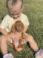 processed/01f32c50-dcad-4864-af48-bf0cf7fcdfe4/facility/59b22ea2-1b62-47fd-8869-16e51cdc0e7d