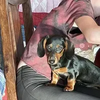 processed/01f32c50-dcad-4864-af48-bf0cf7fcdfe4/facility/a01fbbb2-5a5d-478e-9d60-c9f1ceaf7e67