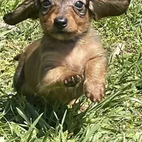 processed/01f32c50-dcad-4864-af48-bf0cf7fcdfe4/facility/c224a96c-f21c-41db-8175-29cf76a5d986