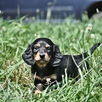 processed/01f32c50-dcad-4864-af48-bf0cf7fcdfe4/facility/cf7cfc40-ed0d-4487-ad97-7b0fe0c0e076