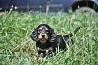 processed/01f32c50-dcad-4864-af48-bf0cf7fcdfe4/facility/cf7cfc40-ed0d-4487-ad97-7b0fe0c0e076