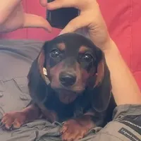 processed/01f32c50-dcad-4864-af48-bf0cf7fcdfe4/facility/d011a56a-b773-43cc-9b8a-76519a4e2fce