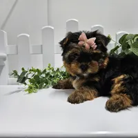 processed/01f8bade-9f05-407d-8a65-b6e8b1fcf786/facility/1c8db2b7-2882-48ae-ab13-7e1f67e909c2