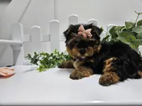 processed/01f8bade-9f05-407d-8a65-b6e8b1fcf786/facility/1c8db2b7-2882-48ae-ab13-7e1f67e909c2