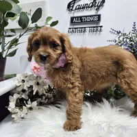 processed/01f8bade-9f05-407d-8a65-b6e8b1fcf786/facility/372c9953-1b91-4b8d-b18e-559805a9c1a4