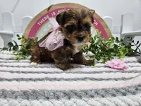 processed/01f8bade-9f05-407d-8a65-b6e8b1fcf786/facility/47792da7-d7f0-4db6-a3bb-cfe4e840d6eb