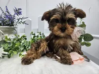 processed/01f8bade-9f05-407d-8a65-b6e8b1fcf786/facility/5e094f19-285f-42e6-8142-b0f77fc605d4