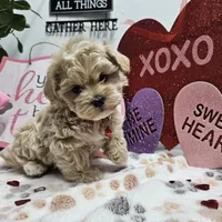 processed/01f8bade-9f05-407d-8a65-b6e8b1fcf786/facility/94680bfd-5c07-4a76-a3e4-cdfb01f47bd2