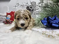 processed/01f8bade-9f05-407d-8a65-b6e8b1fcf786/facility/b49860cf-1b41-4aa7-97d7-b5f795fc8b6e