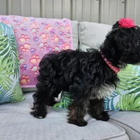 processed/01f8bade-9f05-407d-8a65-b6e8b1fcf786/facility/d599a3ba-bfd7-40d4-b188-0f0ed779fc1e