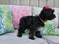 processed/01f8bade-9f05-407d-8a65-b6e8b1fcf786/facility/d599a3ba-bfd7-40d4-b188-0f0ed779fc1e