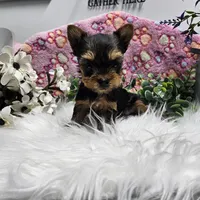 processed/01f8bade-9f05-407d-8a65-b6e8b1fcf786/facility/e9a1acd1-202d-4794-9191-d9fa67579db7