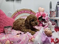 processed/01f8bade-9f05-407d-8a65-b6e8b1fcf786/listing/489b2c97-078d-45a8-9656-359e5874a2d9/31fba321-f630-446f-84b6-cb0175cc710c