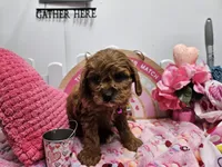 processed/01f8bade-9f05-407d-8a65-b6e8b1fcf786/listing/489b2c97-078d-45a8-9656-359e5874a2d9/3a177ad5-3a48-4929-a09d-b02179531414