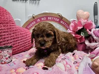 processed/01f8bade-9f05-407d-8a65-b6e8b1fcf786/listing/489b2c97-078d-45a8-9656-359e5874a2d9/54618e80-c5da-4642-9c78-39c7e187ab78