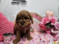 processed/01f8bade-9f05-407d-8a65-b6e8b1fcf786/listing/489b2c97-078d-45a8-9656-359e5874a2d9/64d2cfd1-2fd8-44a0-95a2-839c95b146d8