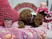 processed/01f8bade-9f05-407d-8a65-b6e8b1fcf786/listing/489b2c97-078d-45a8-9656-359e5874a2d9/6c4096c8-14d7-43e2-80c6-2c11e598e612