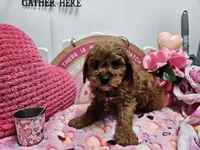 processed/01f8bade-9f05-407d-8a65-b6e8b1fcf786/listing/489b2c97-078d-45a8-9656-359e5874a2d9/b1bec996-2d0d-45c6-a7a4-a3428d320b4f