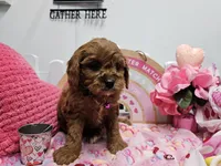 processed/01f8bade-9f05-407d-8a65-b6e8b1fcf786/listing/489b2c97-078d-45a8-9656-359e5874a2d9/b410e981-e182-4769-87b4-e8b5a8c46b3f