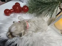 processed/01f8bade-9f05-407d-8a65-b6e8b1fcf786/listing/c688c000-c555-452e-b6c8-762932b70195/2105e9ff-7db8-48d6-9d0a-b67afbc3ec08