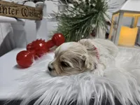 processed/01f8bade-9f05-407d-8a65-b6e8b1fcf786/listing/c688c000-c555-452e-b6c8-762932b70195/3fee2400-fa60-4dad-a4b4-52c980ba83a2