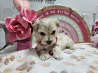 processed/01f8bade-9f05-407d-8a65-b6e8b1fcf786/listing/c688c000-c555-452e-b6c8-762932b70195/97720b72-38d8-44ab-b919-4382edbab4e9