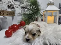 processed/01f8bade-9f05-407d-8a65-b6e8b1fcf786/listing/c688c000-c555-452e-b6c8-762932b70195/9c2cdf30-49d6-4c89-b51a-cbd03bea2e0e