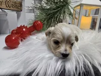 processed/01f8bade-9f05-407d-8a65-b6e8b1fcf786/listing/c688c000-c555-452e-b6c8-762932b70195/e0902574-b339-4ddf-81c9-31fea16d8741