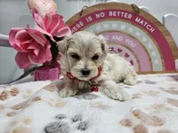 processed/01f8bade-9f05-407d-8a65-b6e8b1fcf786/listing/c688c000-c555-452e-b6c8-762932b70195/fa02f047-e3ff-4b4e-874e-71e88d40761d