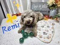 processed/01f8bade-9f05-407d-8a65-b6e8b1fcf786/listing/d883e7ec-8480-46fb-804b-31164dc3fdc7/38d3bb71-155a-4bd9-b191-f0b7c5595f3a