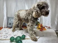 processed/01f8bade-9f05-407d-8a65-b6e8b1fcf786/listing/d883e7ec-8480-46fb-804b-31164dc3fdc7/a18811d8-4648-4be6-b754-874e6b12c287