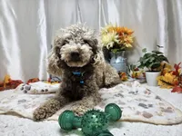 processed/01f8bade-9f05-407d-8a65-b6e8b1fcf786/listing/d883e7ec-8480-46fb-804b-31164dc3fdc7/fc22adc1-c32b-4408-b454-bbdd69875606