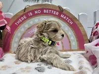 processed/01f8bade-9f05-407d-8a65-b6e8b1fcf786/listing/f85e386e-e2bc-4202-a06d-e8799a582810/21c93fca-7394-453a-ad85-cc82c84fabd2