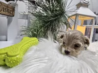 processed/01f8bade-9f05-407d-8a65-b6e8b1fcf786/listing/f85e386e-e2bc-4202-a06d-e8799a582810/65213a23-f65a-4747-83e8-7f7eddd20f79