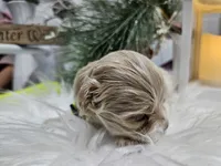 processed/01f8bade-9f05-407d-8a65-b6e8b1fcf786/listing/f85e386e-e2bc-4202-a06d-e8799a582810/75ca13d7-ea98-45c1-aea7-b0c320221172