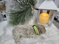 processed/01f8bade-9f05-407d-8a65-b6e8b1fcf786/listing/f85e386e-e2bc-4202-a06d-e8799a582810/918bdec4-217d-4390-97af-26bc0499fd1c