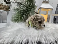 processed/01f8bade-9f05-407d-8a65-b6e8b1fcf786/listing/f85e386e-e2bc-4202-a06d-e8799a582810/97ff4bab-8709-482e-9432-b84d6a7bb95b