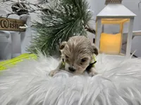 processed/01f8bade-9f05-407d-8a65-b6e8b1fcf786/listing/f85e386e-e2bc-4202-a06d-e8799a582810/a5faee68-8868-48bb-a922-1251050213f6