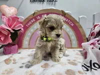 processed/01f8bade-9f05-407d-8a65-b6e8b1fcf786/listing/f85e386e-e2bc-4202-a06d-e8799a582810/b28b37f9-a2bd-4b99-8f03-00f073e63d69