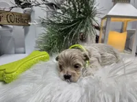 processed/01f8bade-9f05-407d-8a65-b6e8b1fcf786/listing/f85e386e-e2bc-4202-a06d-e8799a582810/c2c55dbc-22fd-4451-a542-d92de0cefc42