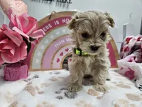 processed/01f8bade-9f05-407d-8a65-b6e8b1fcf786/listing/f85e386e-e2bc-4202-a06d-e8799a582810/d7b1e88c-f7e9-45ba-a85c-aa1f1ca92025