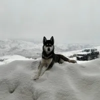 processed/01f93dc2-573a-498a-bd3c-c9746ad40d77/listing/3bc99fea-8eba-4aec-95b3-65dde984b339/87c128bb-e053-49bd-80de-cc8b6ebc8a09