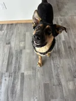 processed/01f93dc2-573a-498a-bd3c-c9746ad40d77/listing/3bc99fea-8eba-4aec-95b3-65dde984b339/8a01280c-d5aa-4670-94d1-068b5633540f