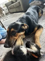 processed/01f93dc2-573a-498a-bd3c-c9746ad40d77/listing/3bc99fea-8eba-4aec-95b3-65dde984b339/a295ade2-e737-431b-af7d-e7c8c25aa9f4