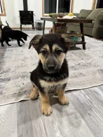 processed/01f93dc2-573a-498a-bd3c-c9746ad40d77/listing/3bc99fea-8eba-4aec-95b3-65dde984b339/b8853625-cad5-48c1-961b-b57895af10c5