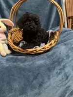 processed/020073d6-22f0-43fb-947b-006433e9cbea/listing/7d480828-0c47-417e-9b5c-a22f0253fed1/14cb023d-e200-4ffa-a255-d1f2ce1aaa45